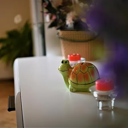 Apartament Marin Brașov