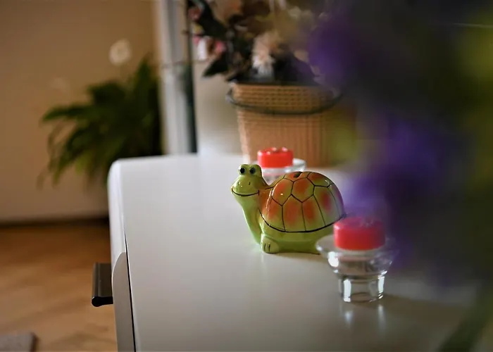 Apartament Marin Brașov